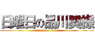 日曜日の品川奥様 (attack on titan)