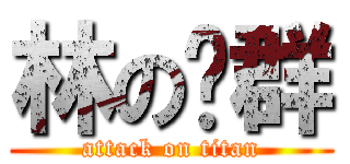 林の荣群 (attack on titan)