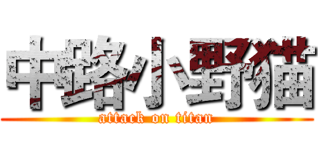 中路小野猫 (attack on titan)