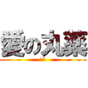 愛の丸薬 (仁伟)