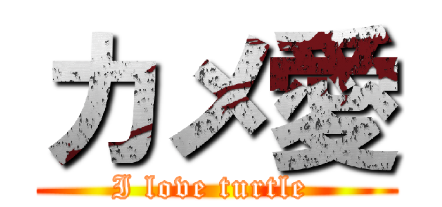 カメ愛 (I love turtle )
