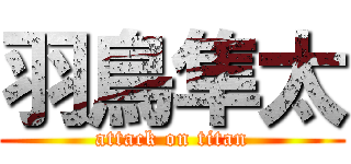 羽鳥隼太 (attack on titan)