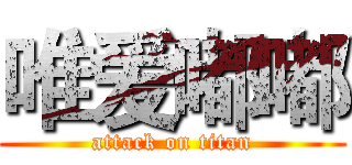 唯爱嘟嘟 (attack on titan)