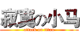 寂寞の小马 (attack on titan)