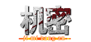 机密 (ji mi dang an)