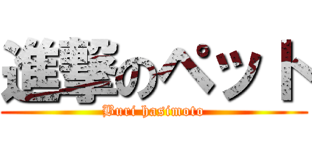 進撃のペット (Buri hasimoto)