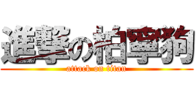 進撃の柏寧狗 (attack on titan)