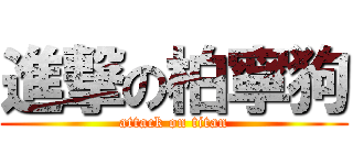 進撃の柏寧狗 (attack on titan)