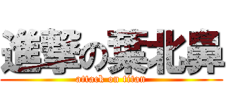 進撃の葉北鼻 (attack on titan)