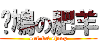 戇鳩の肥羊 (on9 fat sheep)