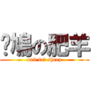 戇鳩の肥羊 (on9 fat sheep)