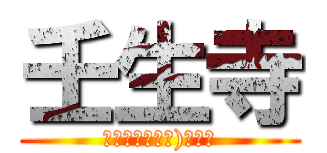 壬生寺 (近藤勇（ゴリラ)像とか)