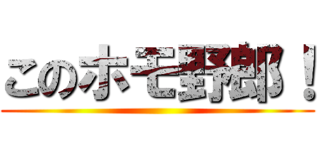 このホモ野郎！ ()