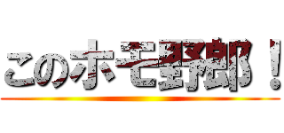 このホモ野郎！ ()