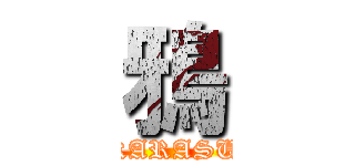 鴉 (KARASU)