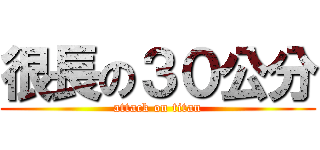 很長の３０公分 (attack on titan)