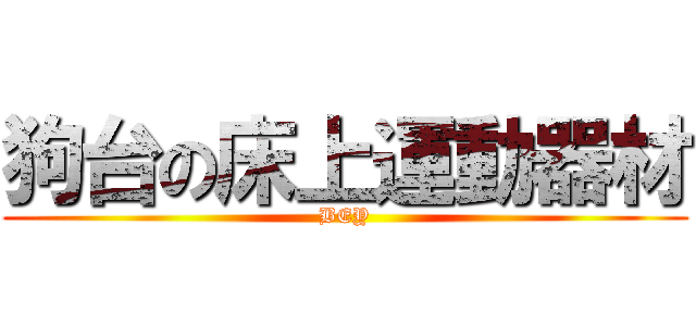 狗台の床上運動器材 (BEY)