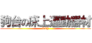 狗台の床上運動器材 (BEY)
