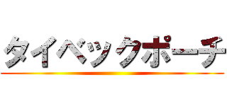 タイベックポーチ ()