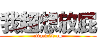 我超想放屁 (attack 30 cm)