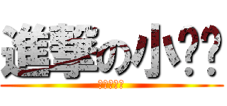 進撃の小褲褲 (各式各樣喔)