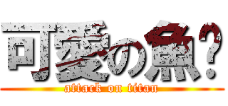 可愛の魚ㄦ (attack on titan)