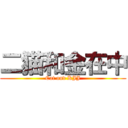 二猫和金在中 (Cat and KJJ)