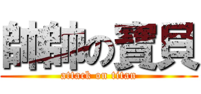 帥帥の寶貝 (attack on titan)