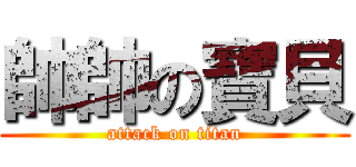 帥帥の寶貝 (attack on titan)