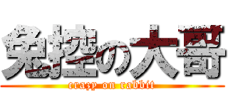 兔控の大哥 (crazy on rabbit)