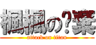 楓楓の拋棄 (attack on titan)