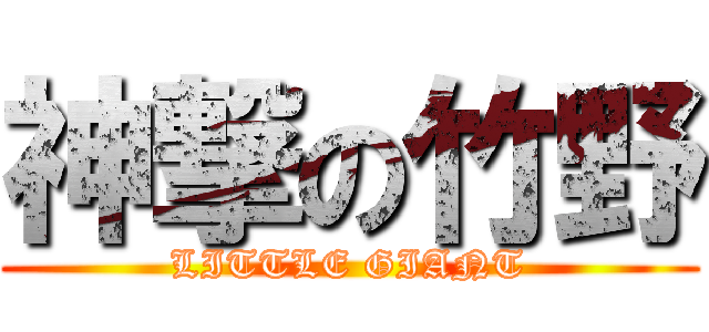 神撃の竹野 (LITTLE GIANT)