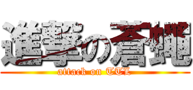 進撃の蒼蠅 (attack on TTL)