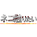 ネコ触りたい (I want to touching the cat)