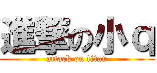 進撃の小ｑ (attack on titan)
