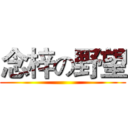 念梓の野望 ()