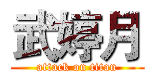 武婷月 (attack on titan)