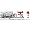 進撃の玉 婷 (attack on titan)