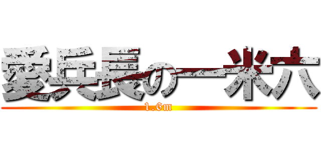 愛兵長の一米六 (1.6m)