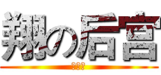 翔の后宫 (羊习习)