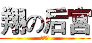 翔の后宫 (羊习习)