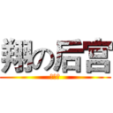 翔の后宫 (羊习习)