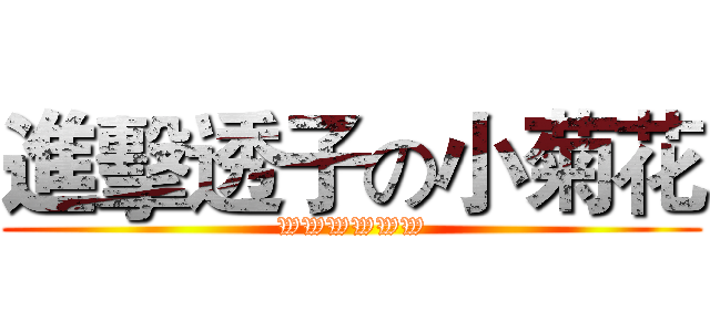進擊透子の小菊花 (WWWWWW)
