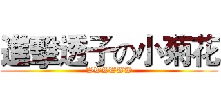 進擊透子の小菊花 (WWWWWW)