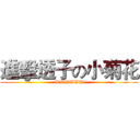 進擊透子の小菊花 (WWWWWW)