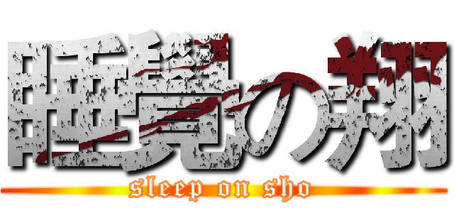 睡覺の翔 (sleep on sho)