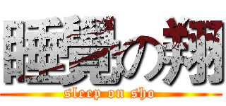 睡覺の翔 (sleep on sho)
