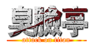 臭臉亭 (attack on titan)