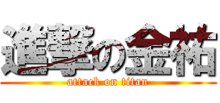 進撃の金祐 (attack on titan)