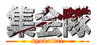 集会隊 (syukaitai)